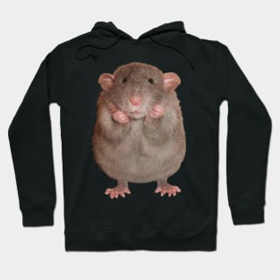 rats meme Hoodie